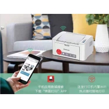 奔图2506W