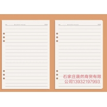 25开活页本芯6孔
