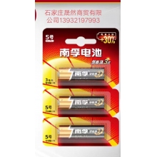 5号电池南孚