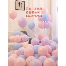 马卡龙彩色气球包50个