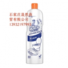 洁厕灵威猛480 24瓶装/箱