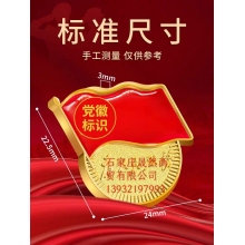 党徽大磁力