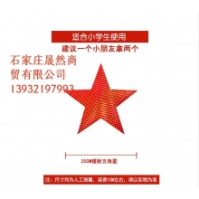 镭射五角星25CM