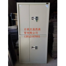 两节电子密码柜