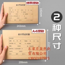 A4会计记账凭证（25套/包）