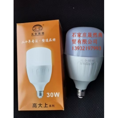 LED灯泡30W