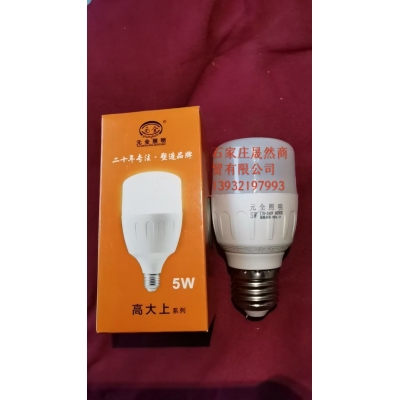 LED5W灯泡