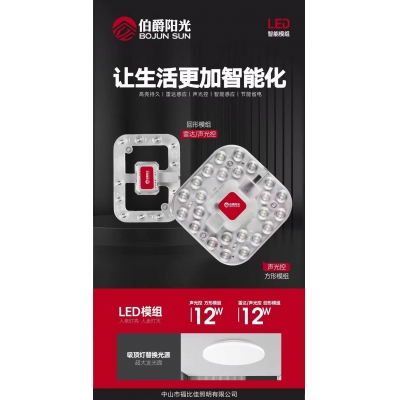 12W灯芯声光控制
