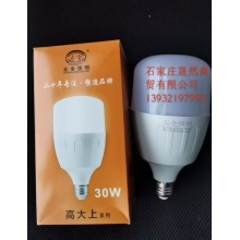 LED灯泡30W