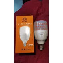 LED灯泡10W