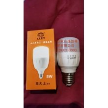 LED5W灯泡