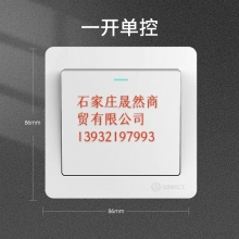 墙壁开关 单开  10个/装