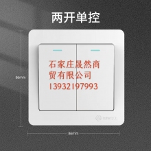 墙壁开关 双开 10个装